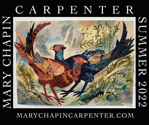 Mary Chapin Carpenter Summer Tour 2022