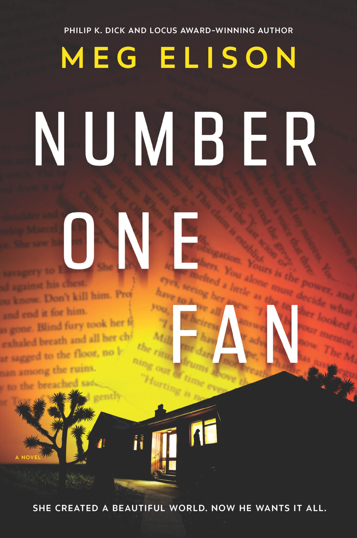 A book cover photo of book title Number One Fan