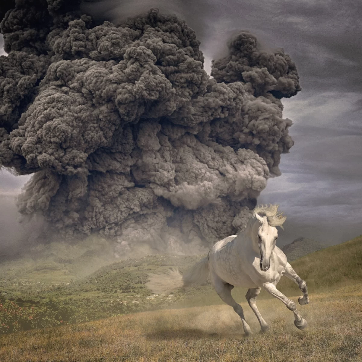 The cover art for musician, The White Buffalo's, new album, Year of the Dark Horse