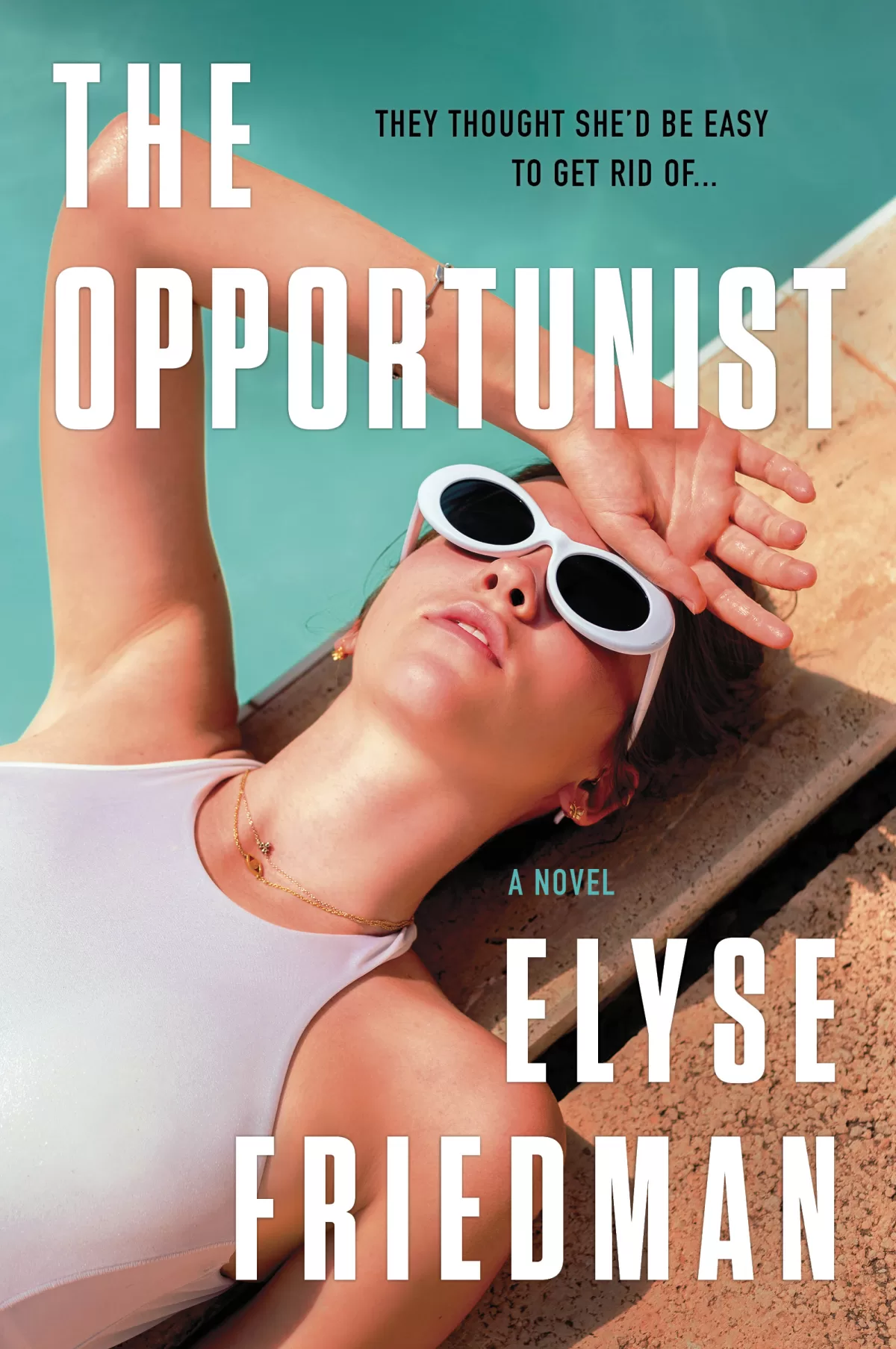 An image of the book cover for author Elyse Friedman's new book, titled The Opportunist