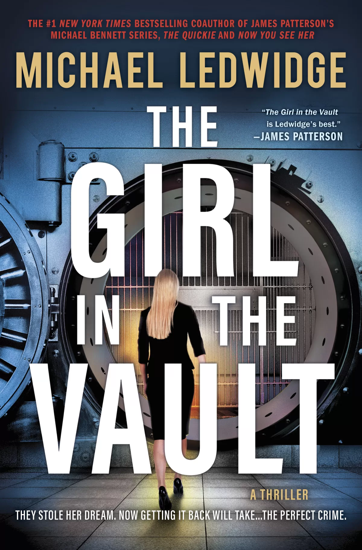 A cover image for the book title, 'The Girl in the Vault'