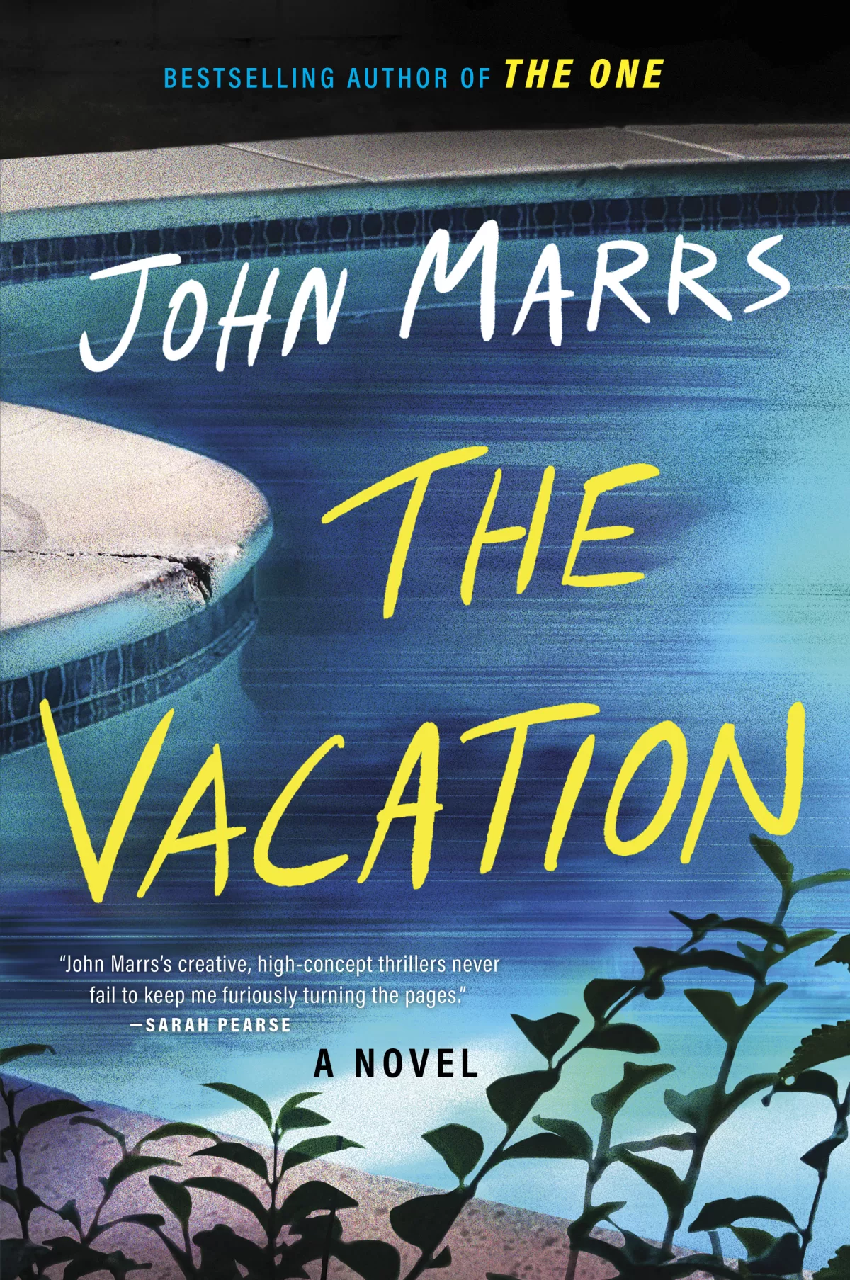 An image of the cover for the book title, 'The Vacation'