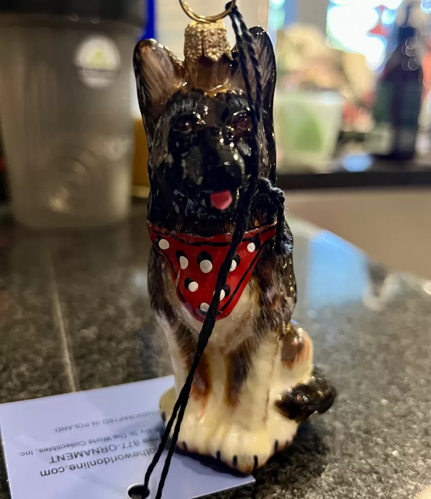A unique image of pet ornament from Joy to the World's Pet Set Collection