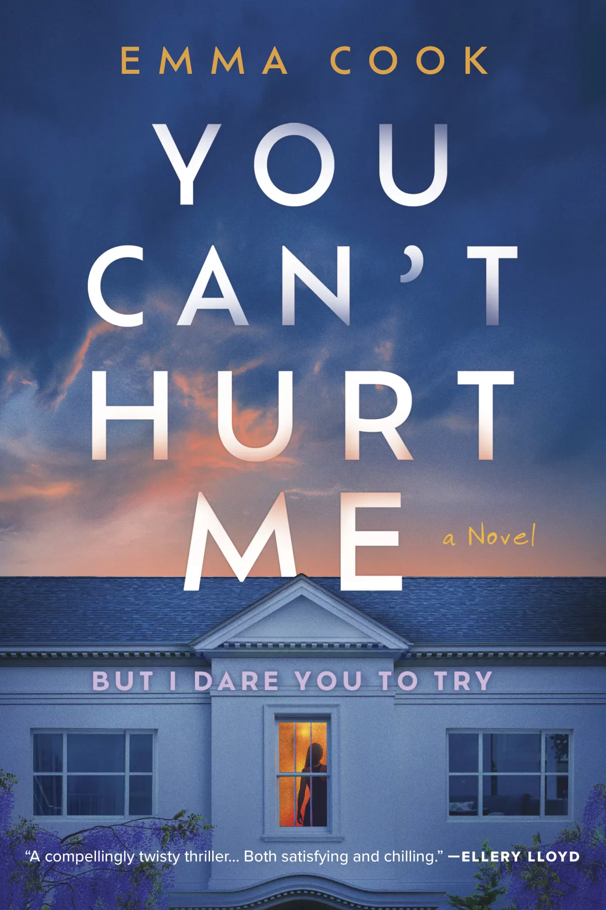 A book cover image for the title 'You Can't Hurt Me'